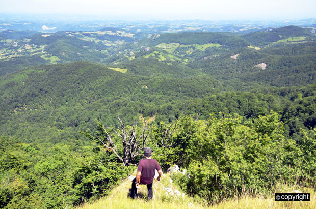 Повленске стазе за сањарење